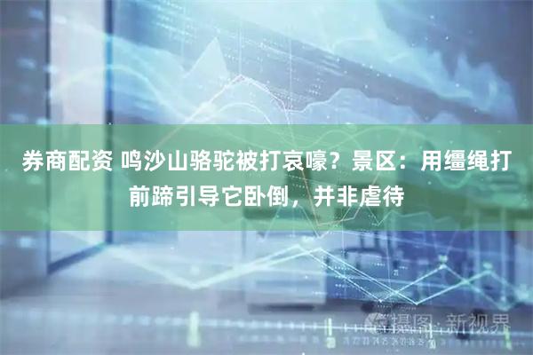 券商配资 鸣沙山骆驼被打哀嚎？景区：用缰绳打前蹄引导它卧倒，并非虐待