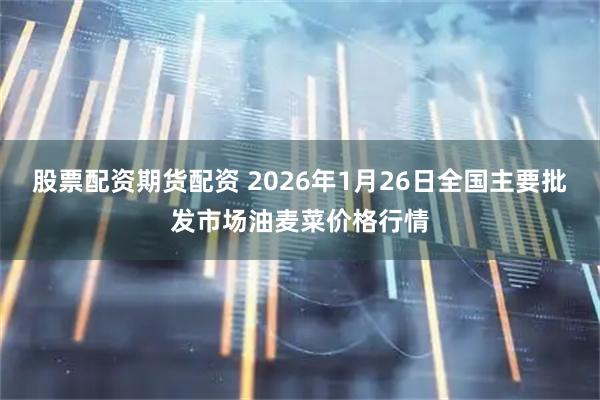 股票配资期货配资 2026年1月26日全国主要批发市场油麦菜价格行情