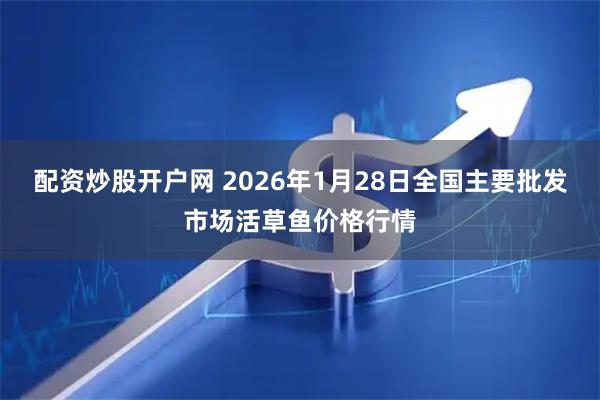 配资炒股开户网 2026年1月28日全国主要批发市场活草鱼价格行情